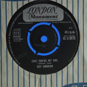 (Say) You're My Girl Image