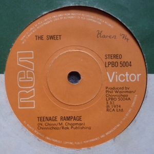 Teenage Rampage Image