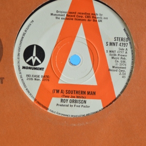 (I'm A) Southern Man Image