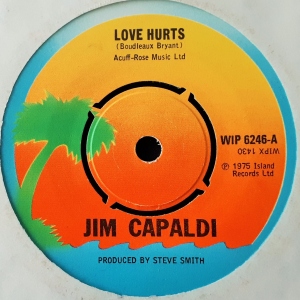 Love Hurts Image