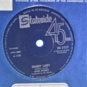 Shady Lady Image