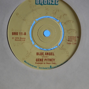 Blue Angel Image