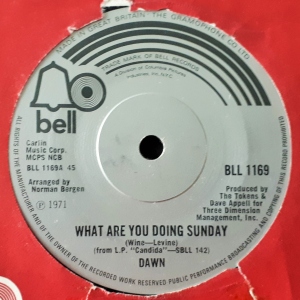 What Are You Doing Sunday Image