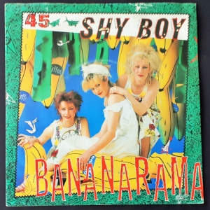 Shy Boy Image