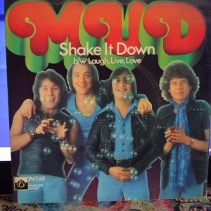 Shake It Down Image