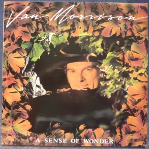 A Sense Of Wonder Image