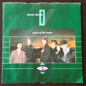 Union Of The Snake Image