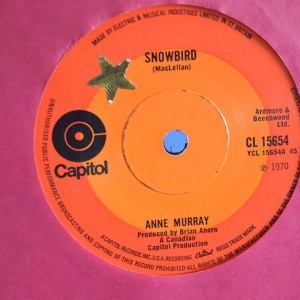 Snowbird Image