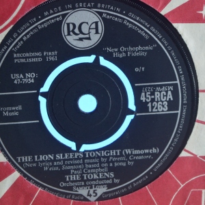 The Lion Sleeps Tonight (Wimoweh) Image