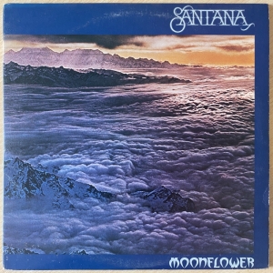 Moonflower Image