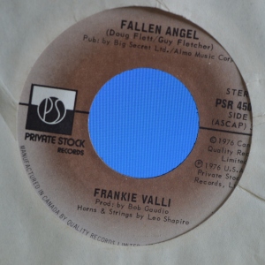 Fallen Angel Image