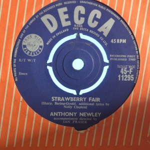 Strawberry Fair Image