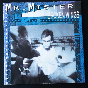 Broken Wings Image