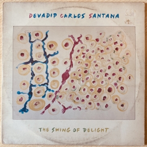 The Swing Of Delight Image
