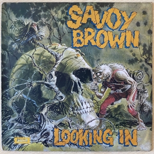 Looking In Image