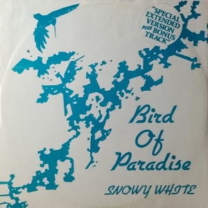 Bird Of Paradise Image