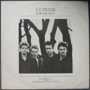 Pride (In The Name Of Love) Image