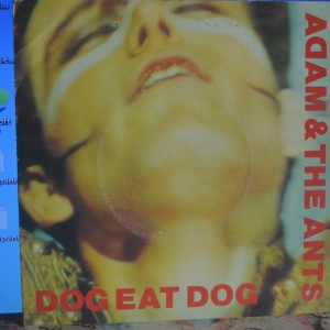 Dog Eat Dog Image