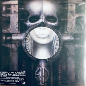 Brain Salad Surgery Image