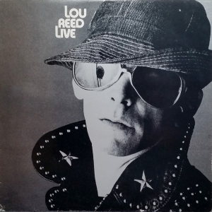 Lou Reed Live Image