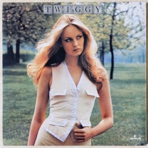 Twiggy Image