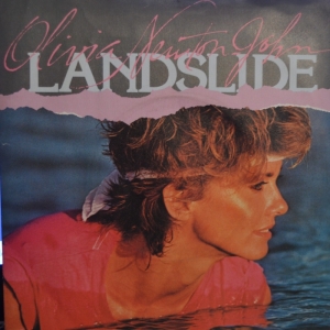 Landslide Image