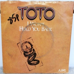 I Won't Hold You Back Image