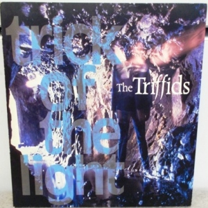 Trick Of The Light Image