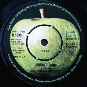 Junior's Farm Image