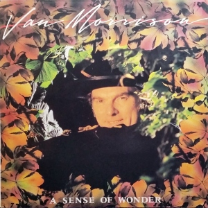 A Sense Of Wonder Image
