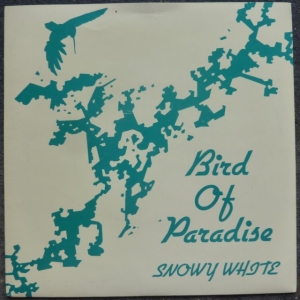 Bird Of Paradise Image
