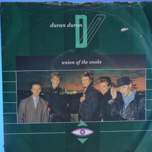 Union Of The Snake Image