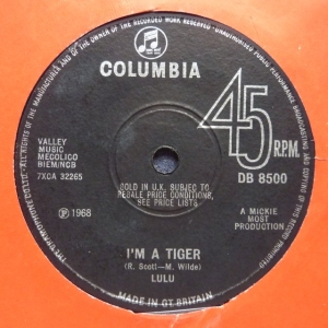 I'm A Tiger Image