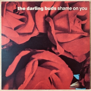 Shame On You Image