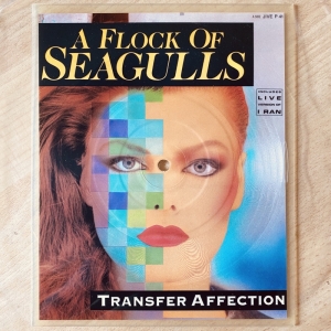 Transfer Affection Image