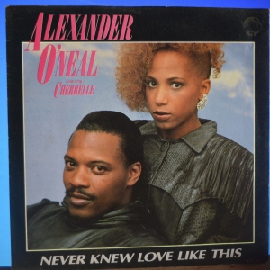 Never Knew Love Like This Image