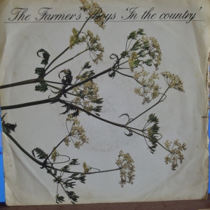 In The Country Image