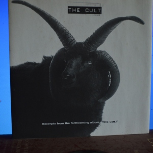 Excerpts From The Forthcoming Album THE CULT Image