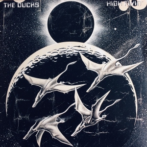 High Flyin' Image