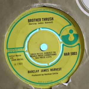 Brother Thrush Image