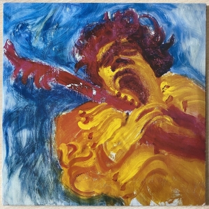 The Jimi Hendrix Concerts Image