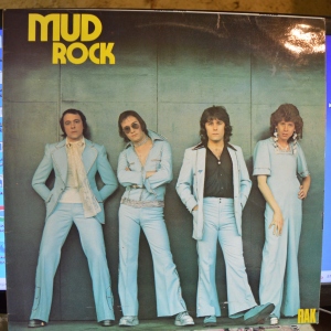 Mud Rock Image