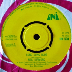 Song Sung Blue Image