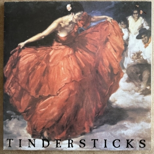 The First Tindersticks Album Image