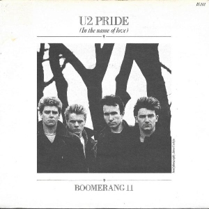 Pride (In The Name Of Love) Image