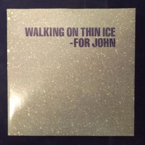 Walking On Thin Ice Image