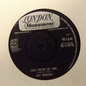 (Say) You're My Girl Image