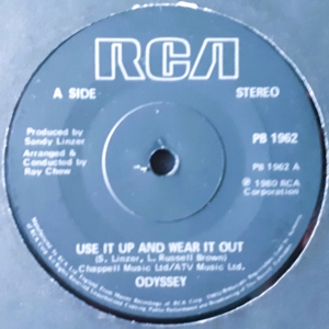 Use It Up And Wear It Out Image