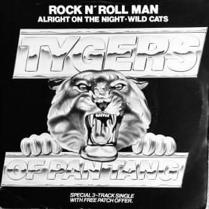 Rock 'n' Roll Man Image