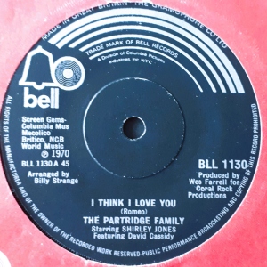 I Think I Love You Image